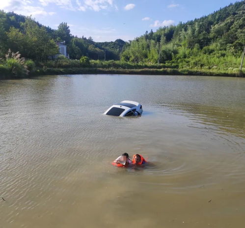 女人梦到水塘是什么征兆,女人梦到池塘里水满了