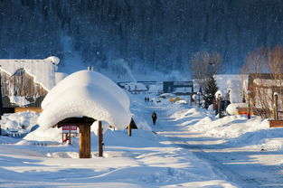 梦到下雪旅行什么预兆呢,梦见旅行遇到风雪的预兆