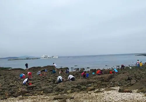 梦到下雨海水涨潮什么意思,梦见大海涨潮是什么意思