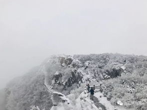 梦到下雨雪是什么意思,梦见下雨下雪