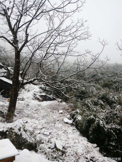 梦到下下雪了什么意思,梦见下雪是什么征兆周公解梦