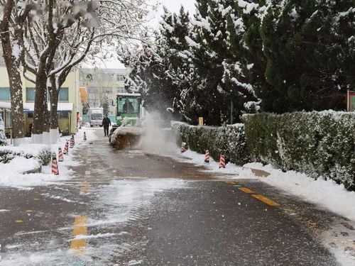 梦到下雪别人扫雪什么意思,梦见下雪扫雪是什么意思？