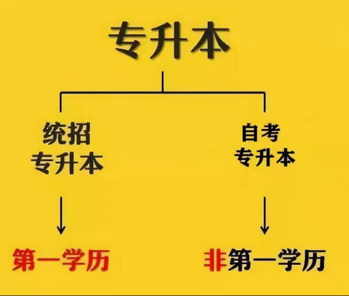 梦到专升本是什么意思,梦见专升本成功的预兆