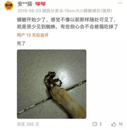 恋爱男人梦到蜘蛛什么征兆,梦见蜘蛛是什么预兆 男性