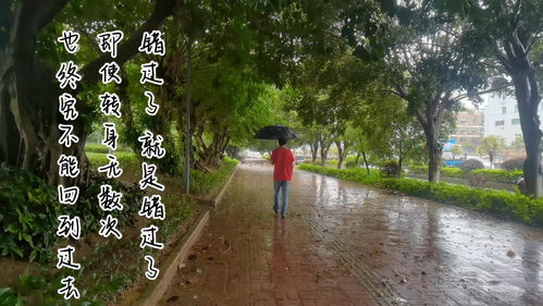 梦到下雨淋湿是什么意思,梦到下雨被淋湿什么意思