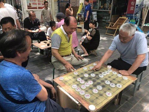 梦到下象棋输钱什么意思,梦见和老乡下象棋输了好几盘的预兆