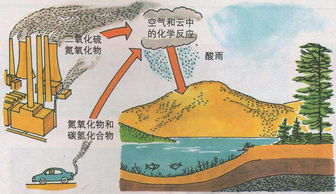 梦到下酸雨是什么意思,梦见酸雨落自已身上的预兆