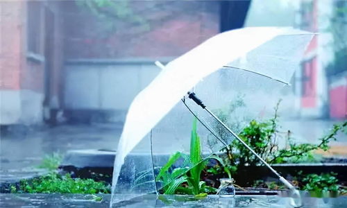 梦到下雨都是水什么意思,梦见下大雨而且好多水的预兆