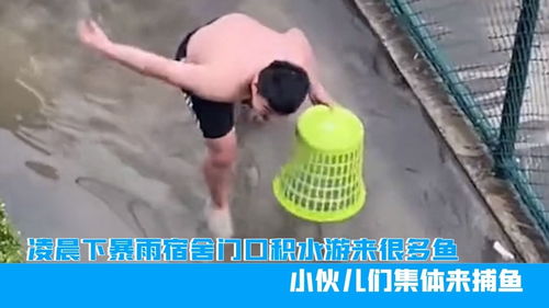 小伙梦到积水是什么预兆,梦见大雨积水的预兆