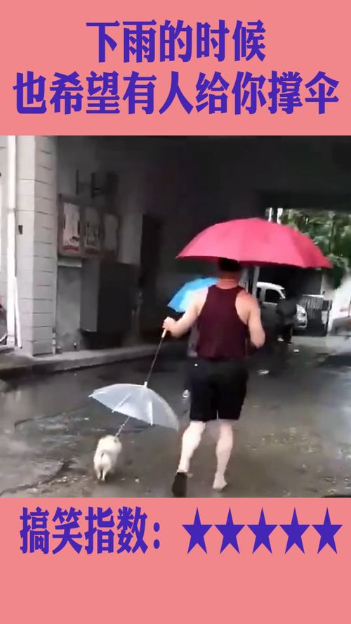 梦到下雨撑伞等车什么意思,梦见雨中打伞等车是什么意思