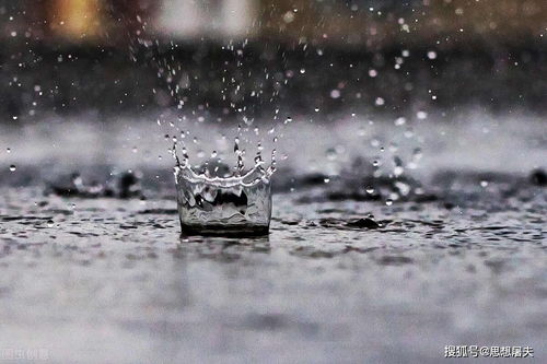 梦到下雨很多水什么预兆,梦见下大雨而且好多水的预兆