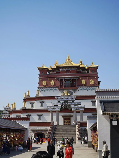 梦到中灵山门什么意思,昨晚梦到灵山寺，我从一个寺庙门进去的，怎么也找不到回来的门，却进入了一个大的好多人的地方，前面有水