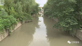 梦到下泥水河什么意思,梦见河水和泥的预兆