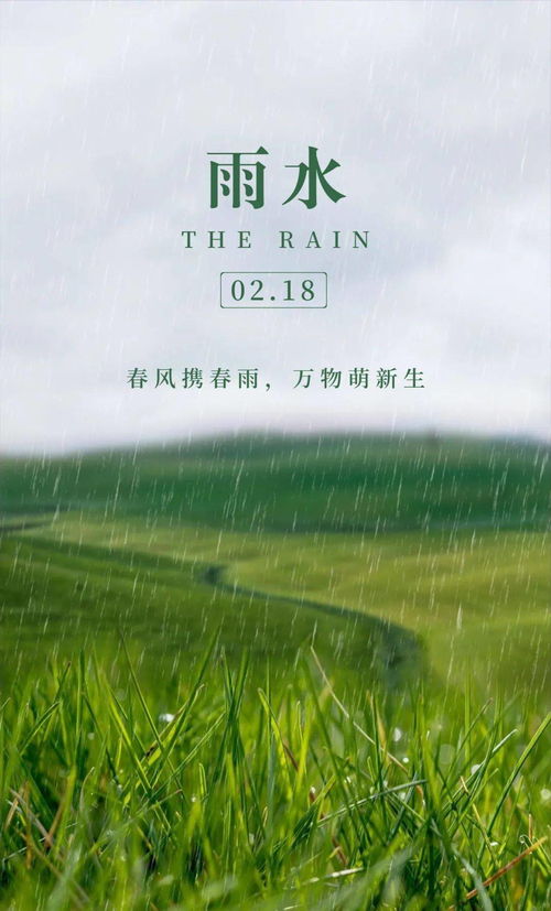 梦到下雨水是什么预兆,梦见下大雨有流水的预兆