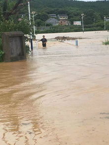 梦到下雨水灾什么预兆,梦见大雨洪水是什么意思？