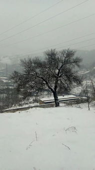 梦到中途下雪了什么意思,梦到下雪了是什么意思周公解梦