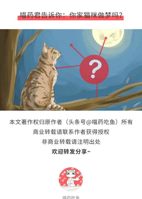 梦到东西很慢掉落什么意思,梦见掉落东西的预兆