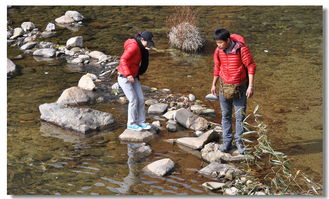 梦到下泥水河什么意思,梦见河水和泥的预兆