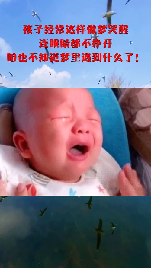 小孩为什么老是做梦梦到蛇,小孩梦见蛇是什么意思 周公解梦？