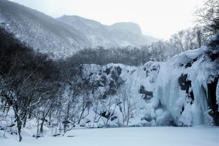 梦到下着雪什么意思,梦见下雪是什么意思周公解梦