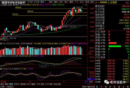 我梦到股票涨停什么意思,梦见股票涨停的预兆