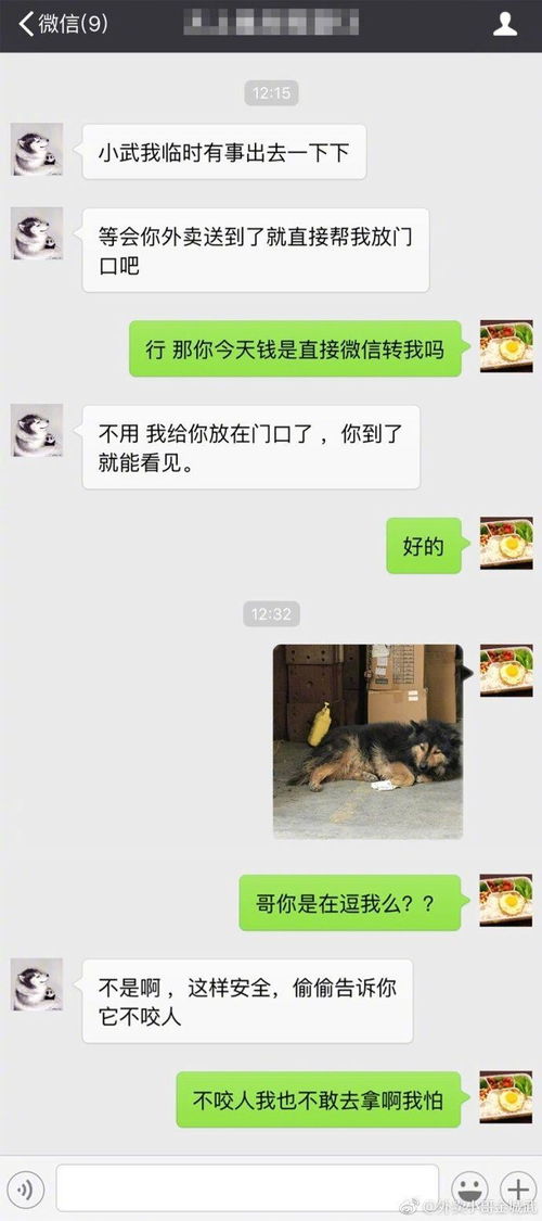 梦到丁真是什么意思,预言丁真结果为寄什么意思