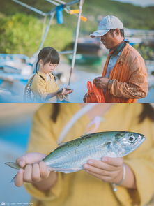 已婚梦到了鱼代表什么生肖,梦到鱼代表什么生肖