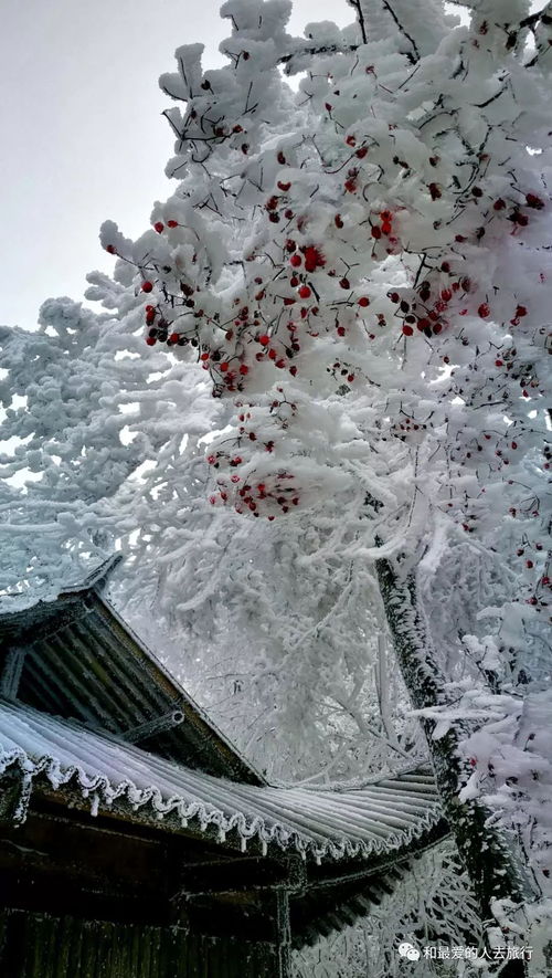 梦到下雪下雨是什么意思,梦见下雪雨 下雪又下雨是什么意思？