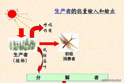 梦到500万是什么意思,梦见伍佰万的预兆