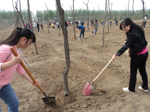 梦到下雨忙着种地什么预兆,梦见下雨干农活的预兆