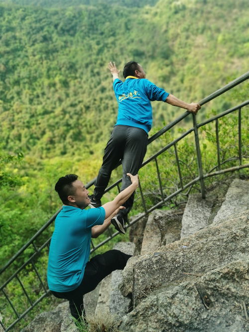 梦到不敢爬山拍照什么意思,梦见畏惧爬山的预兆