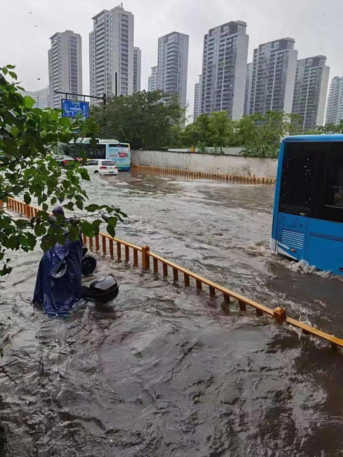 梦到下沙大雨什么预兆,梦见沙漠里下雨的预兆