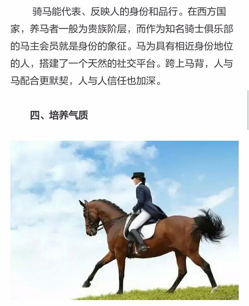 梦到与人骑马是什么预兆,梦到和别人共骑一马预示着什么