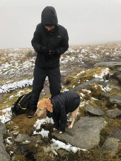 梦到下山接人来什么意思,梦见下雨接人的预兆