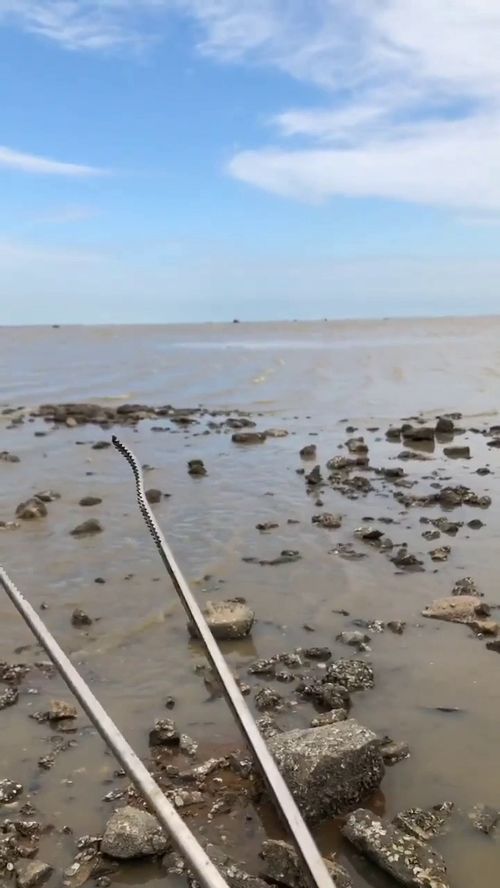 我梦到海水退潮什么意思,梦见大海退潮是什么意思