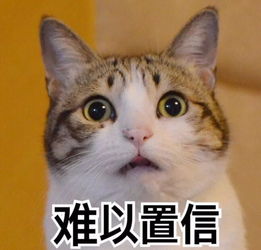 孩子梦到小猫死了什么意思,梦见猫死了的预兆