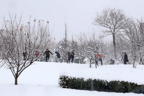 朋友梦到下雪是什么意思,梦见下雪是什么征兆 男性