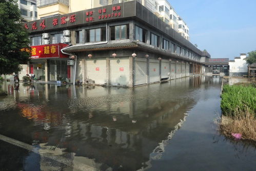 梦到上海洪水什么意思呀,梦见洪水意味着什么的预兆