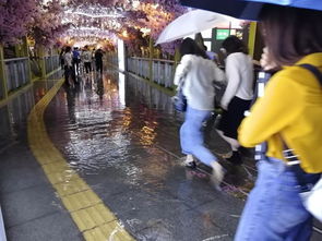 梦到下冰雹下暴雨什么寓意,梦见下雨下冰雹的预兆