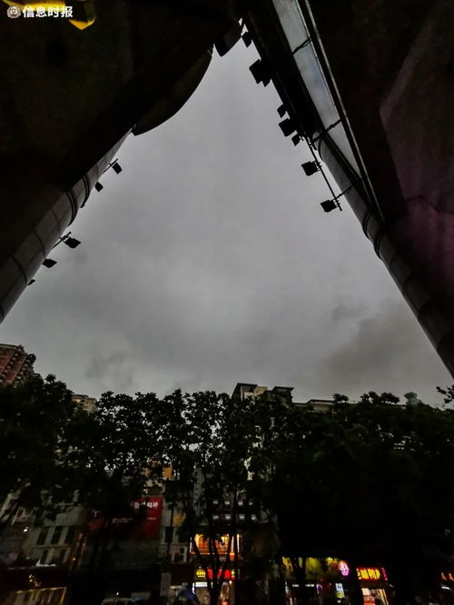 梦到下雨雷电什么意思,梦见电闪雷鸣下大雨是什么意思