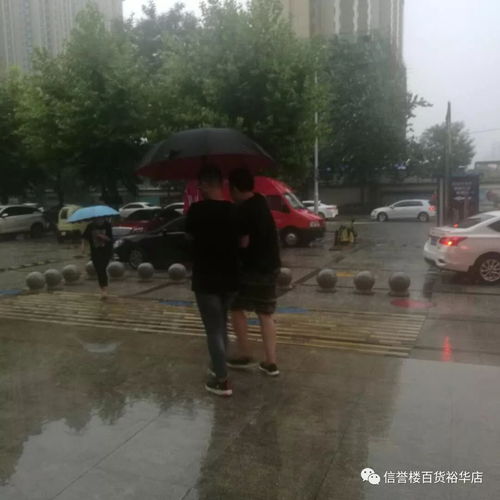 梦到下雨撑伞等车什么意思,梦见雨中打伞等车是什么意思