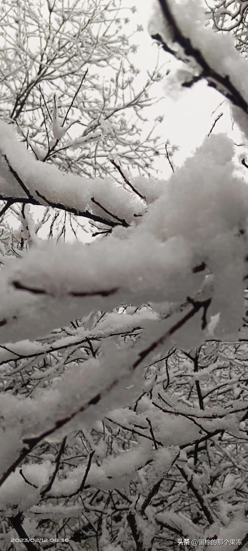 梦到下雪不吉祥什么预兆,梦见下雪是什么意思周公解梦