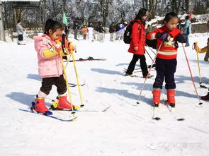 情侣梦到滑雪什么意思啊,梦见滑雪的预兆