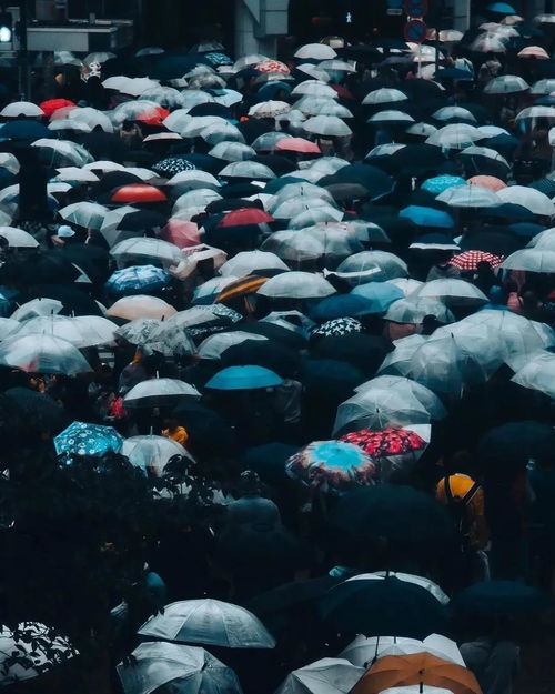 梦到下雨打伞翻盖什么意思,梦见下雨打伞的预兆