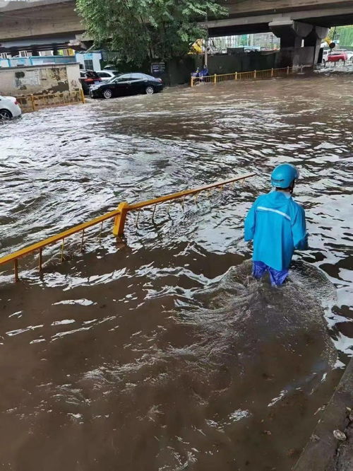 梦到下沙大雨什么预兆,梦见沙漠里下雨的预兆