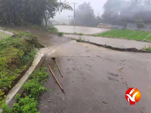 梦到下暴雨泄洪什么预兆,梦见下暴雨发洪水的预兆