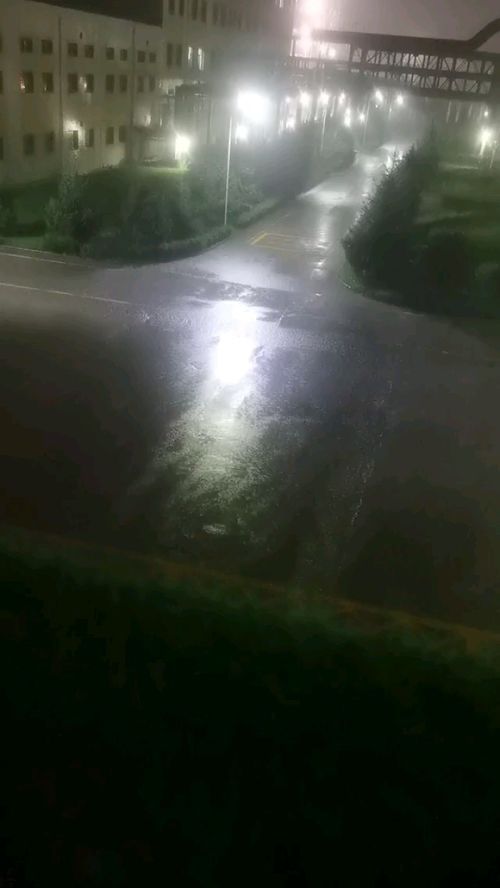 总是梦到下大雨什么原因,梦见下大雨是什么意思