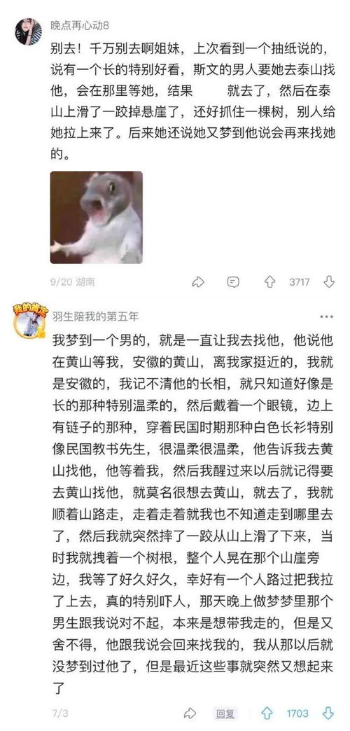 梦到一个网友说明什么,梦到网友意味着什么