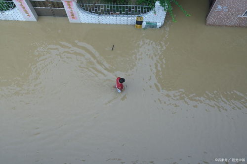 未婚梦到大雨预示什么预兆,梦见下大暴雨是什么意思