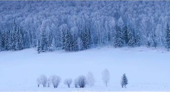 梦到下午下雪是什么意思,梦见下雪是什么征兆周公解梦